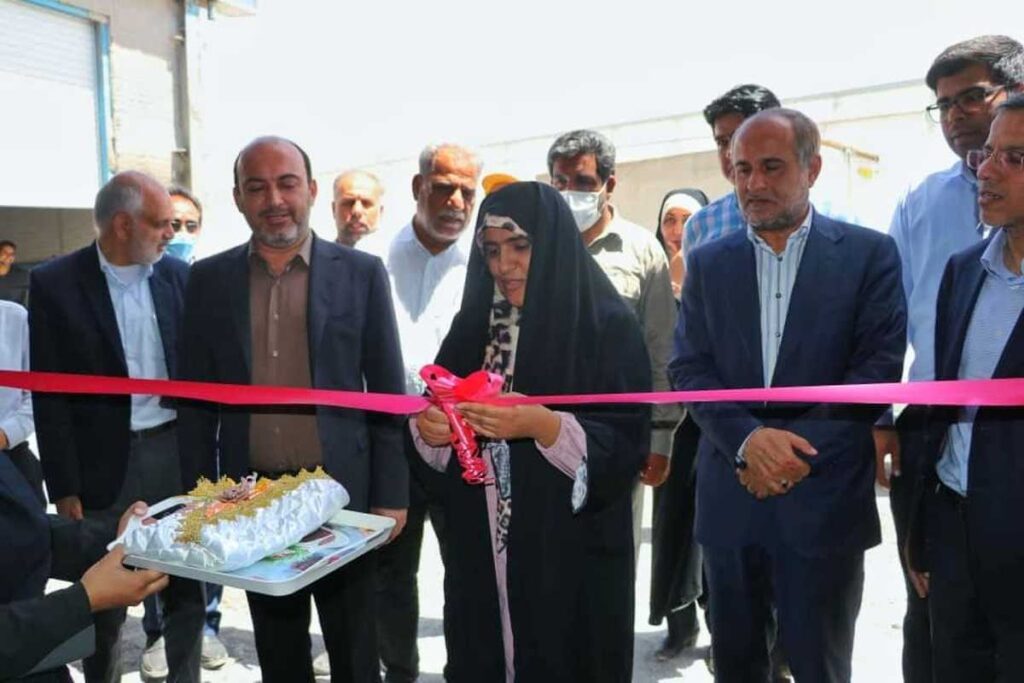 افتتاح یک واحد هیدروپونیک در رودان در روز ششم از هفته دولت