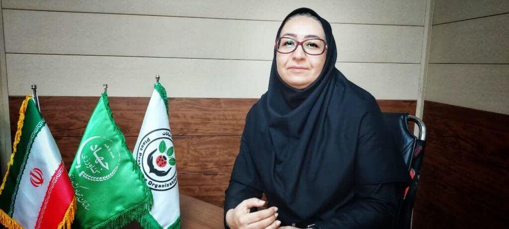 مدیر حفظ نباتات جهادکشاورزی هرمزگان:
 مبارزه با آفت سن غلات در ۱۴ هزار هکتار از اراضی کشاورزی هرمزگان انجام شد