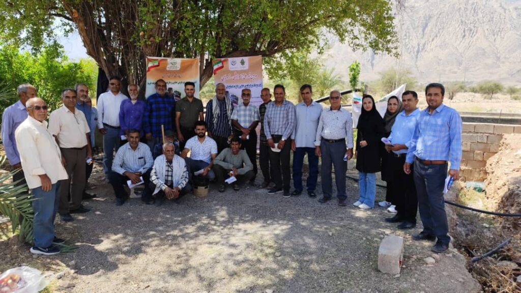 برگزاری تور ترویجی ملی مبارزه با آفات و بیماری‌های نخیلات در حاجی‌آباد