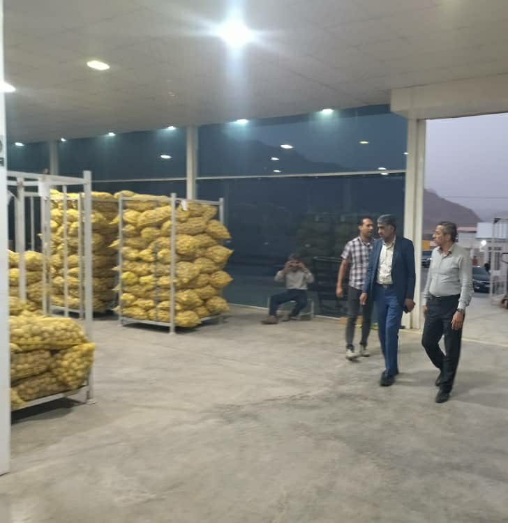 بازدید رئیس سازمان جهاد کشاورزی استان هرمزگان از واحدهای سردخانه و بسته‌بندی خرما در حاجی‌آباد/حمایت از کشاورزان در ارسال و عرضه به موقع محصولات به بازار مصرف